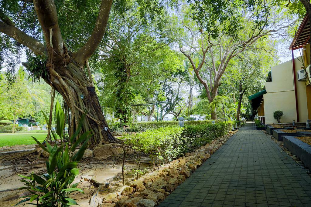 Miridiya Lake Resort Anuradhapura Luaran gambar